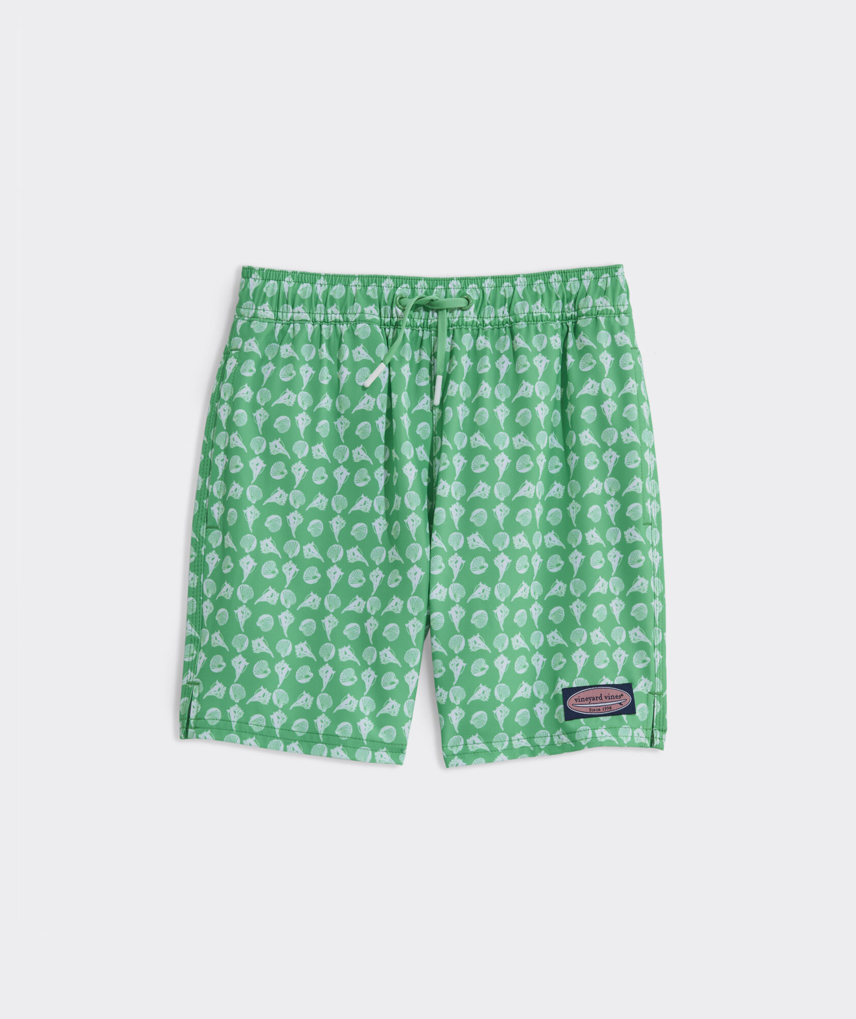 Boys' Printed Chappy Swim Trunks