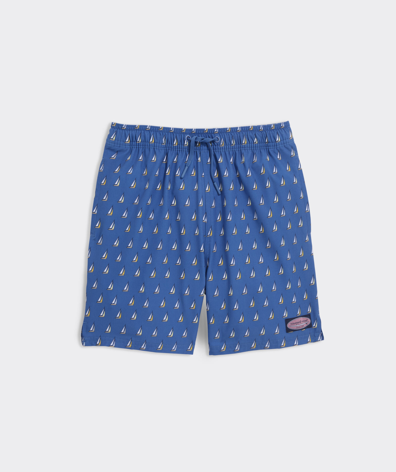 Boys' Printed Chappy Swim Trunks