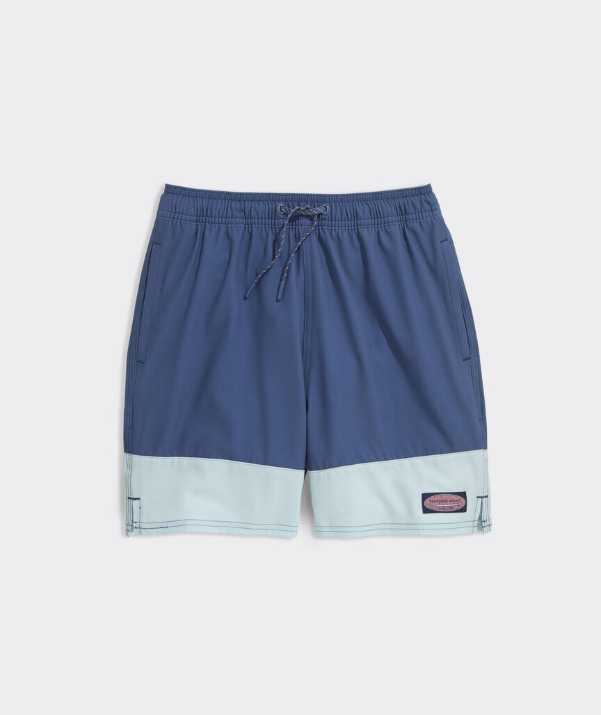 Boys' Colorblock Chappy Swim Trunks