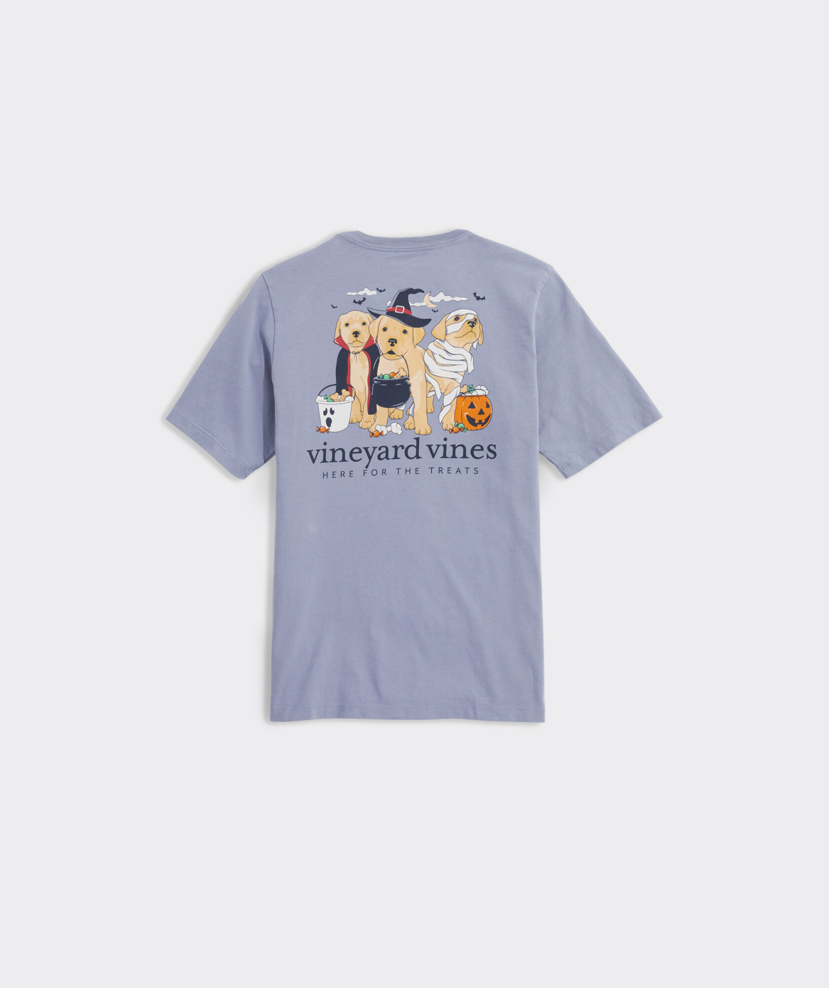Vineyard Vines, Shirts & Tops, Vinyard Vines Nwt Boys Short Sleeve Pocket  Tshirt Chicago Cubs