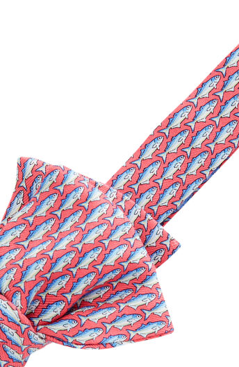 Unique and Printed Bow Ties at vineyard vines