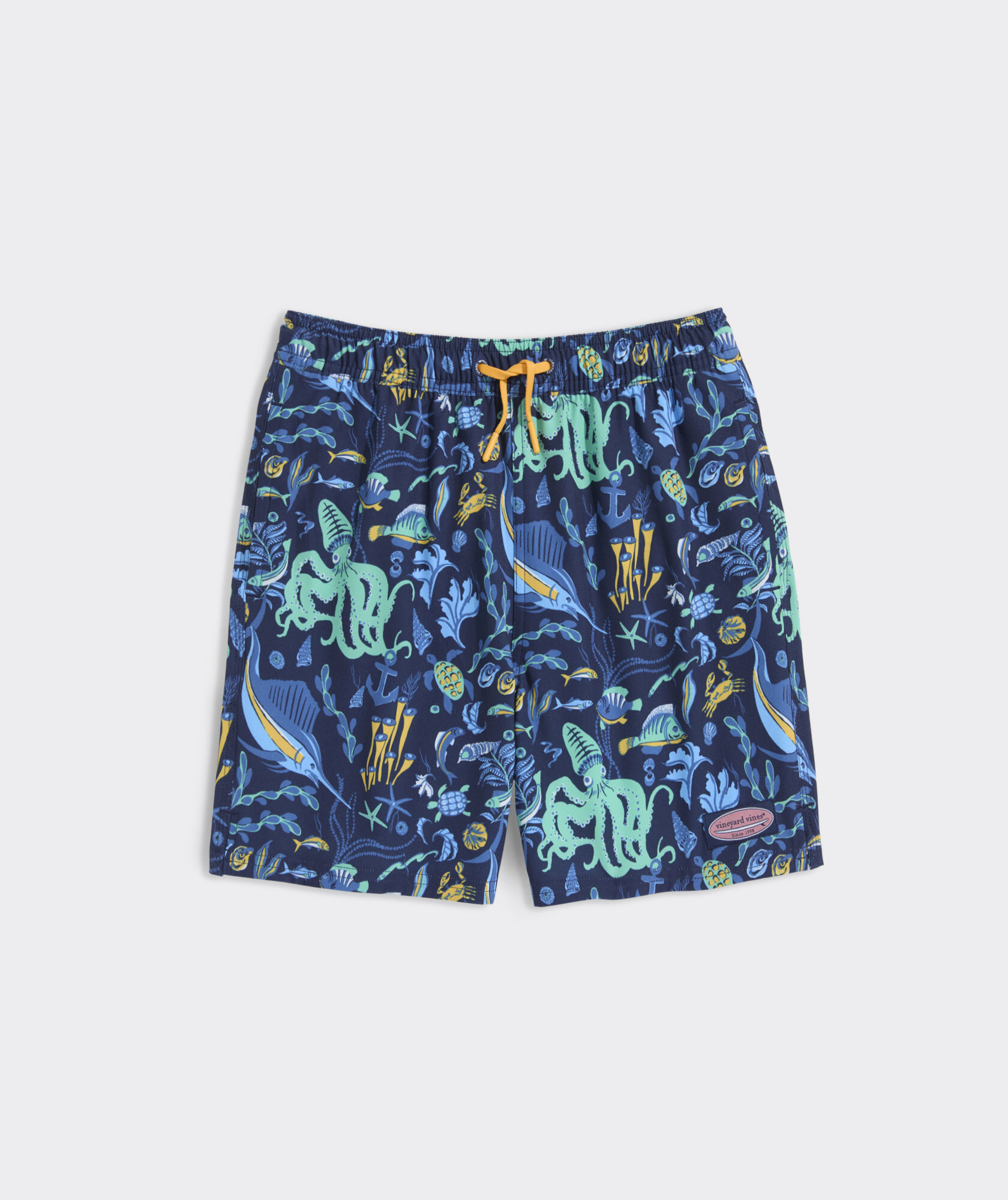 Boys' Printed Chappy Swim Trunks