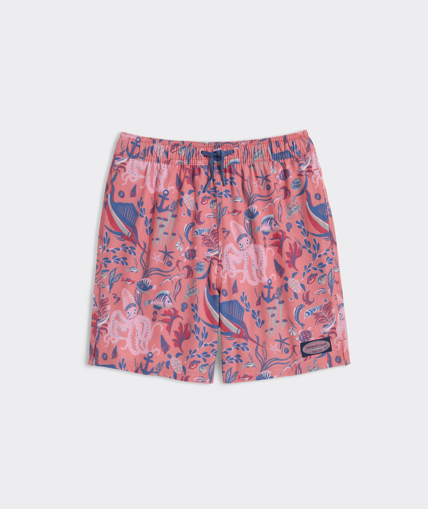 Boys' Printed Chappy Swim Trunks