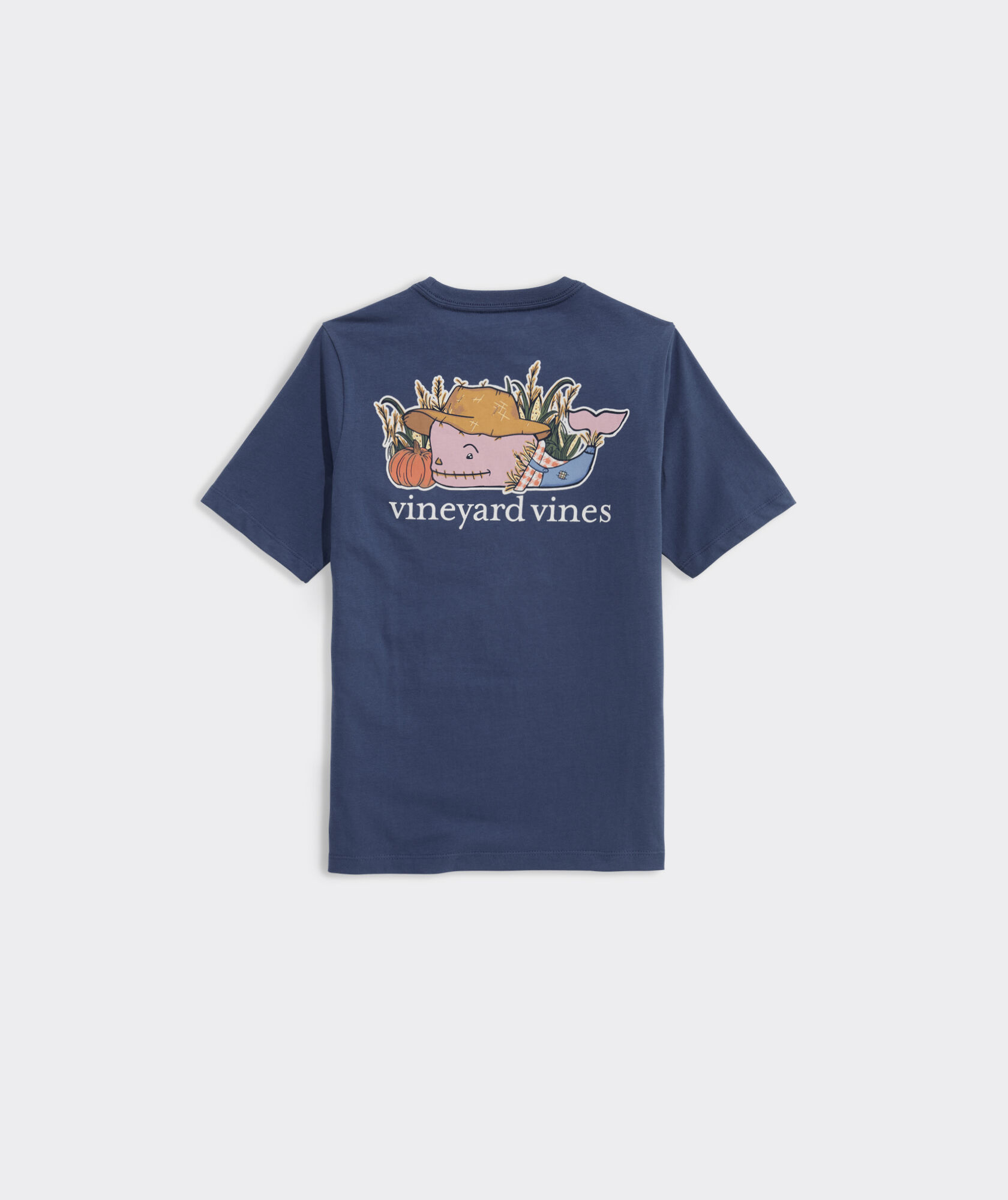 Boys' Scarecrow Whale Short-Sleeve Pocket Tee