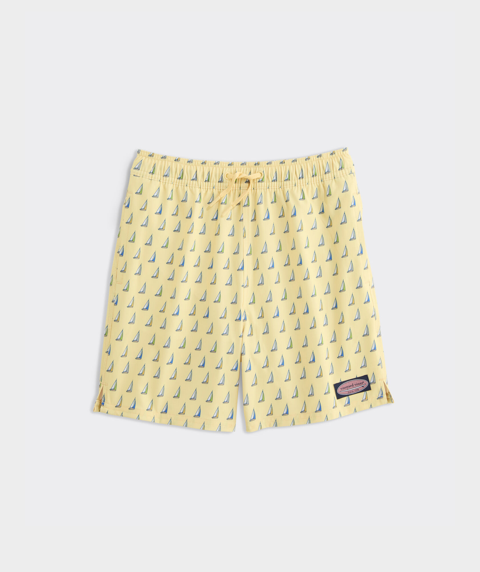 Boys' Printed Chappy Swim Trunks