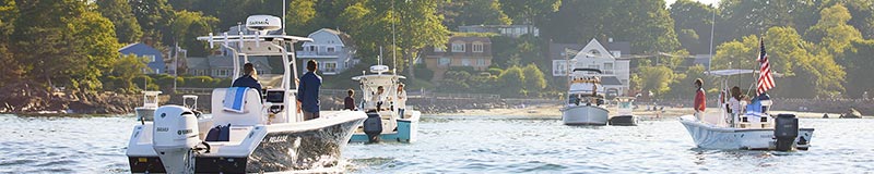 some boats out on the water