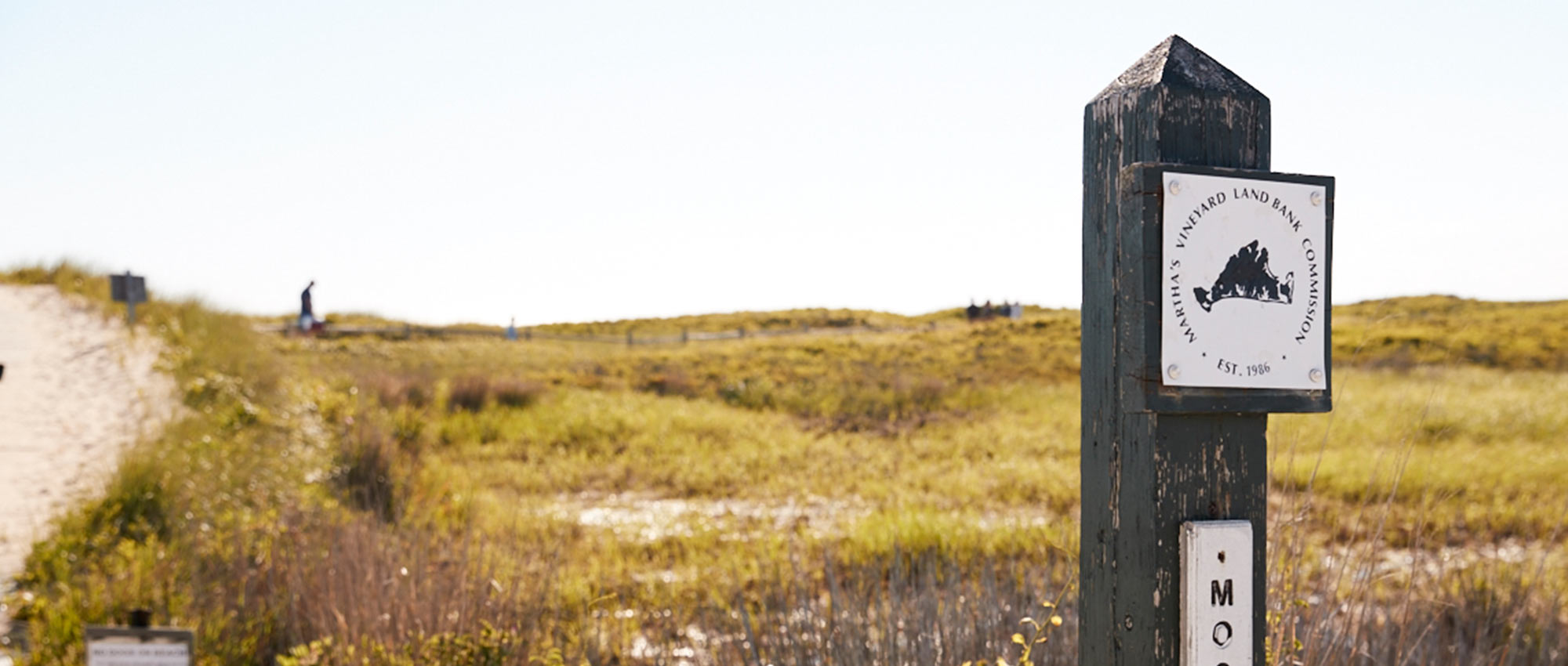 wooden post on beach dunes