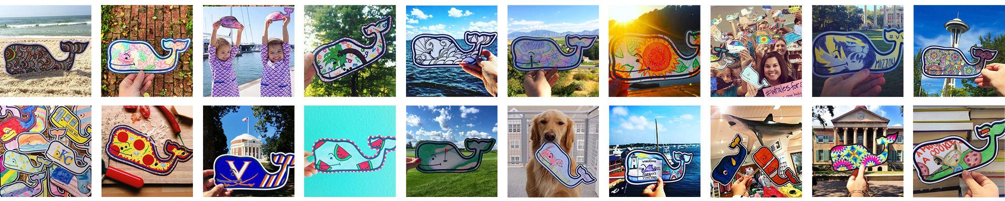 the story of the vineyard vines whale