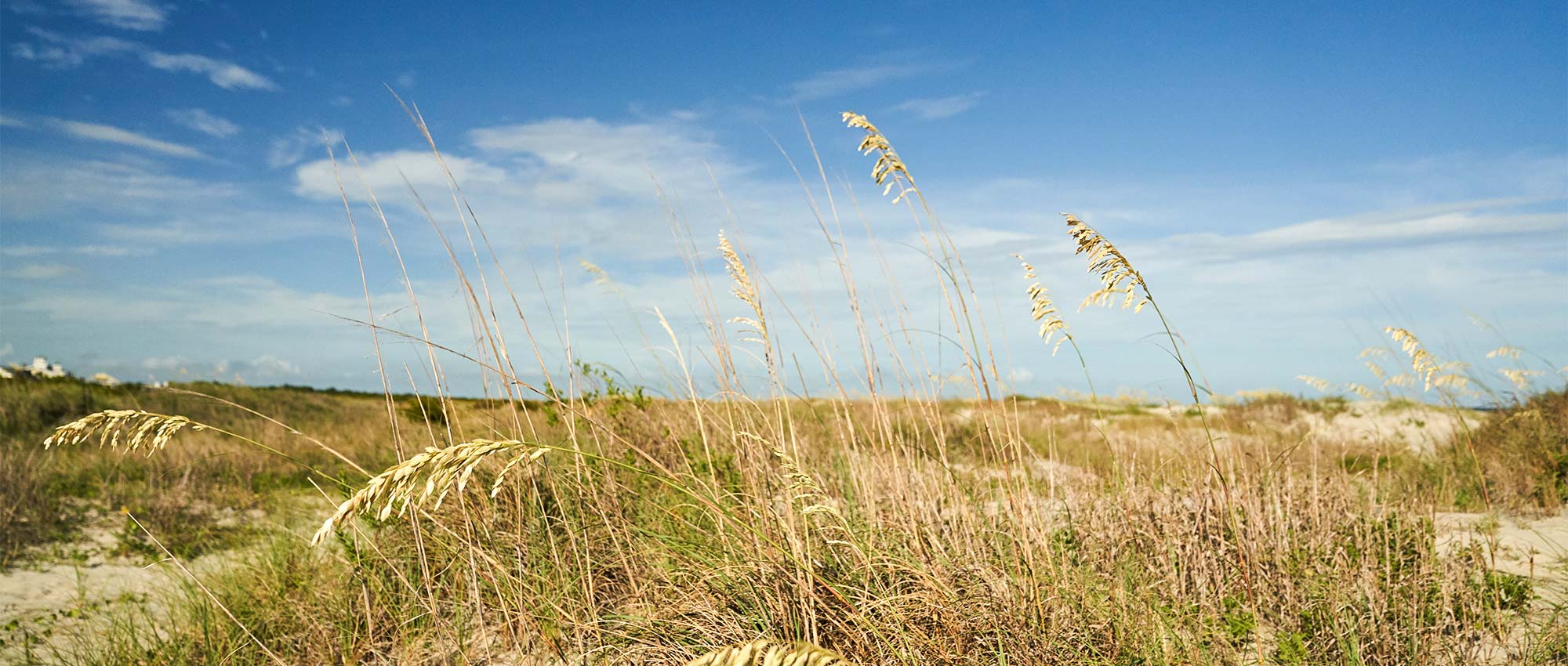 sand dunes