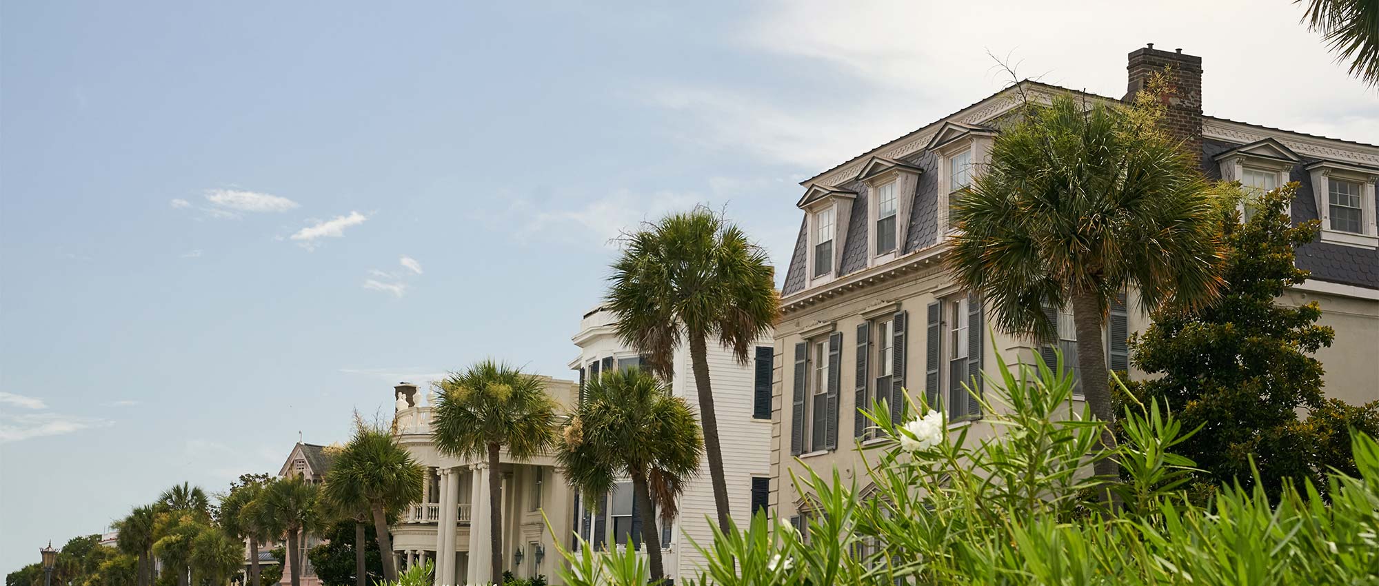 decorative image of house and trees